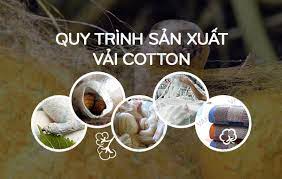 Qui trình dệt vải thun cotton
